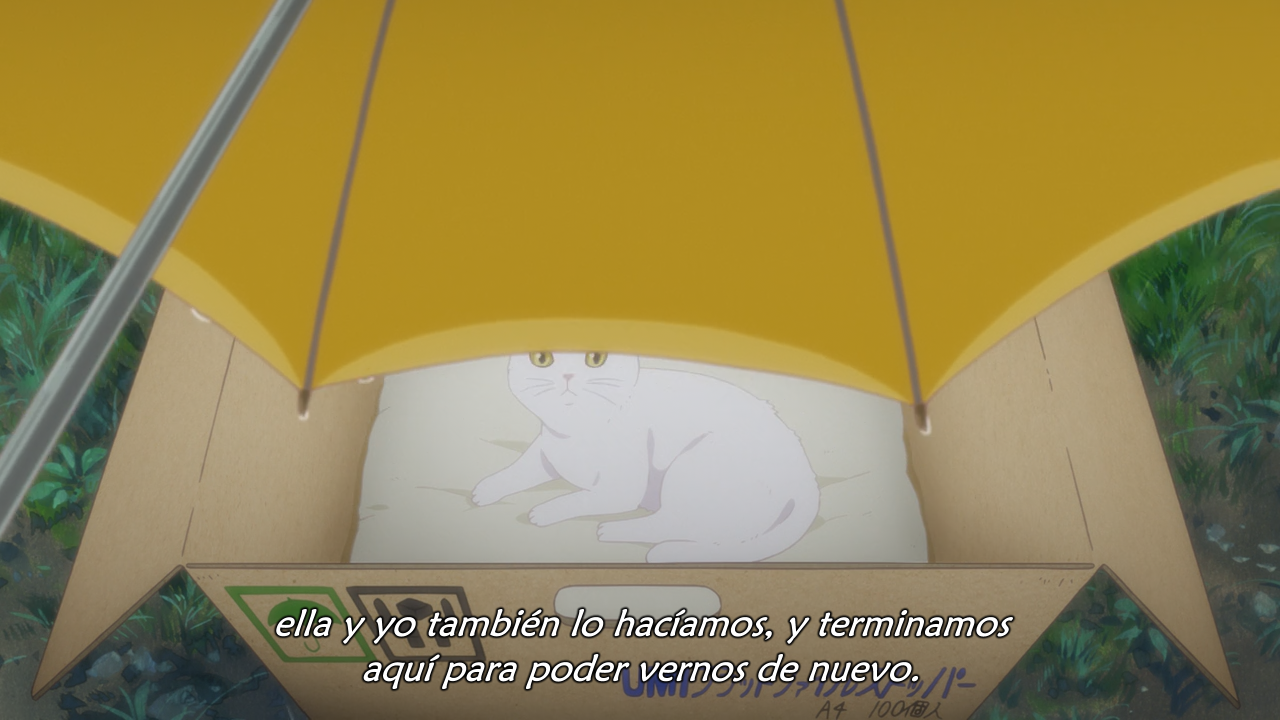 Kanojo to Kanojo no Neko: Everything Flows (Ñyuum)